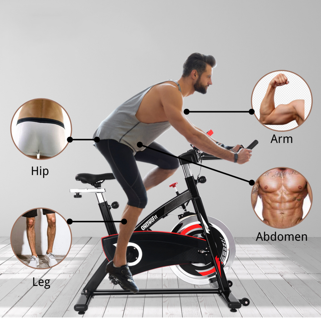44Lbs Flywheel Silent Belt Drive Spinning Bike For Indoor Cycling