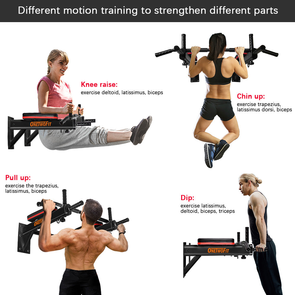 Bicep Curl Exercises For Biceps Bicep Curls Best Pull Ups For